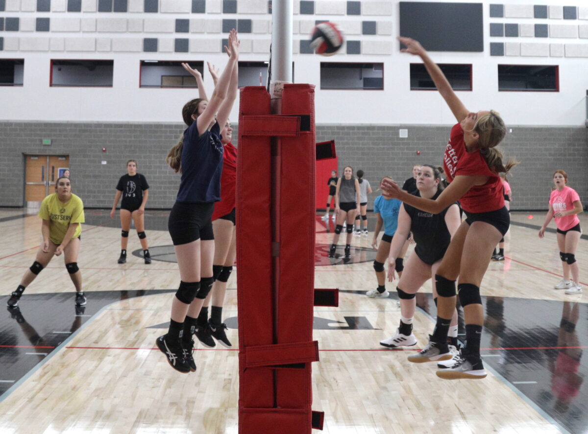 Prep volleyball Resurgent Roy enjoying life in Region 2 News, Sports